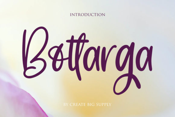 Bottarga: A Friendly Font for Creative Projects