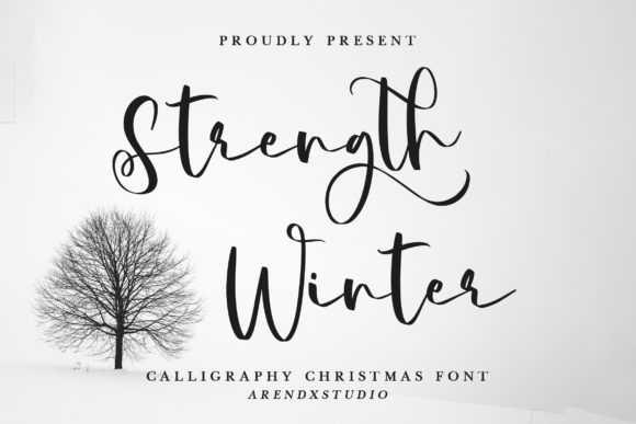 Strength Winter Font Review