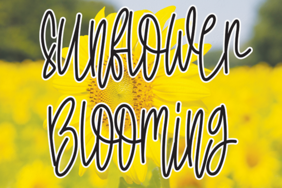 Sunflower Blooming: A Font for Creative Businesses