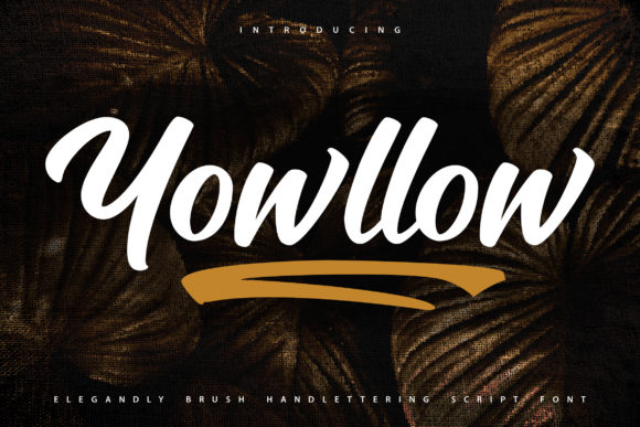 Yowllow: A Stylish Handwritten Font